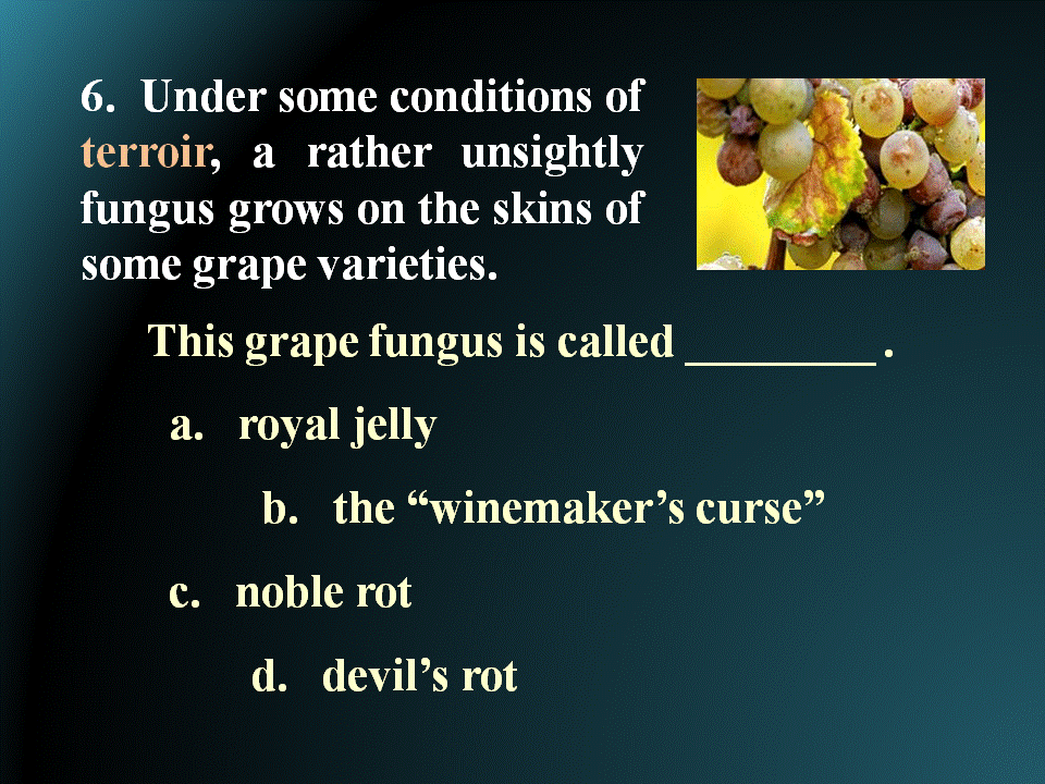 Quiz Question 6