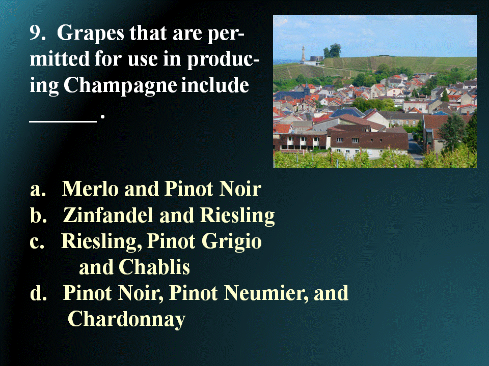 Champagne vineyards
